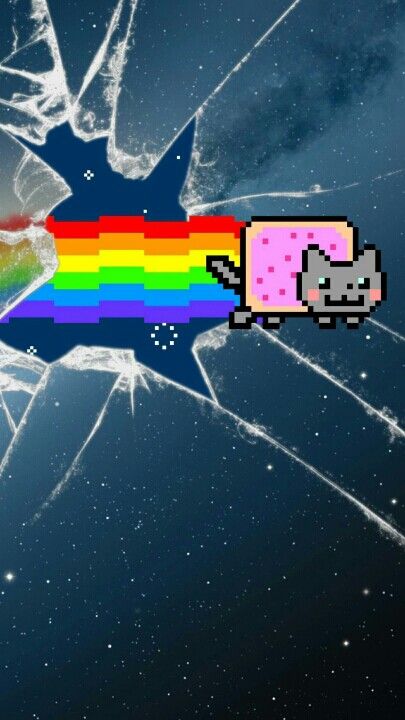 Nyan Cat Wallpapers, Cat Iphone Wallpaper, Cat Wallpaper Iphone, Cat Wallpapers, Cat Iphone, Nyan Cat, Cat Wallpaper, Wallpaper Iphone, Iphone Wallpaper