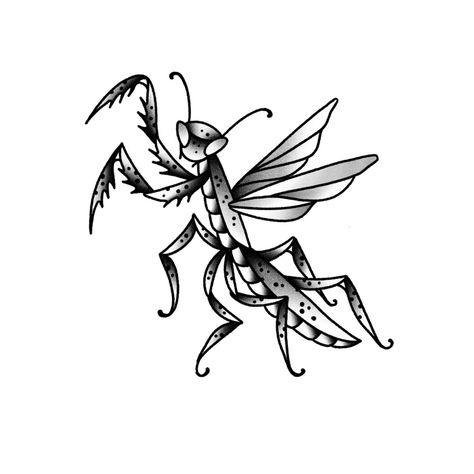 Traditional Bug Tattoo Old School, Traditional Bug Tattoo Flash, Praying Mantis Tattoo Traditional, Weevil Tattoo, Traditional Beetle Tattoo, Bat Traditional Tattoo, Traditional Insect Tattoo, Traditional Bug Tattoo, Grasshopper Tattoo