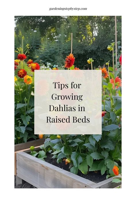 Discover the beauty of growing dahlias in raised beds - a perfect solution for those seeking to cultivate these vibrant blooms. Learn all about planting dahlias in raised beds and why they thrive in this setup. Explore the benefits and find out if you can grow dahlias successfully in raised garden beds. Unveil the secrets of using raised beds to nurture gorgeous dahlias, making them stand out effortlessly. Dahlia Flower Beds Gardens, Dahlia Raised Bed, Dahlia Garden Bed, Dahlia Flower Garden, Grow Dahlias, Planting Dahlias, Cut Garden, Log Planter, Dahlia Garden