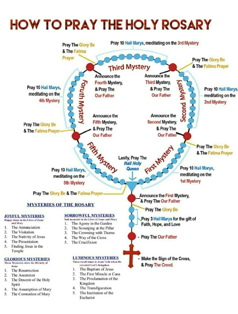 How to pray the holy rosary Rosary Prayer Guide, Praying The Rosary Catholic, Rosary Guide, Pray Rosary, Fatima Prayer, Rosary Prayers Catholic, Saying The Rosary, Rosary Prayers, Catholic Prayers Daily