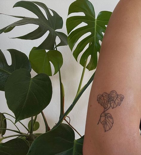 Simplistic Frog Tattoo, Monteras Plant Tattoo, Plant Tattoo Placement, Plant Tattoo Aesthetic, Tattoo Ideas Artsy, Cool Plant Tattoos, Plant Tattoos Arm, Back Plant Tattoo, Tattoo Ideas Plants