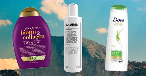 Best Shampoo For Hair Fall Control, Shampoo For Hair Fall, Shampoo For Loss Of Hair, Best Hair Growth Shampoo, Best Shampoo For Thinning Hair Woman, Best Shampoo For Loss Of Hair, Best Shampoo For Thinning Hair, Shampoo For Hair Growth, Shampoo For Highlighted Hair