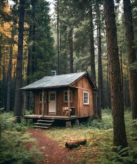 Old Shack In The Woods, Isolated Cabin In The Woods, Shack In Woods, Small Cabin In The Woods, Cabin In Woods, Small House In The Woods, Diy Log Cabin, Rural Houses, Woods Cabin