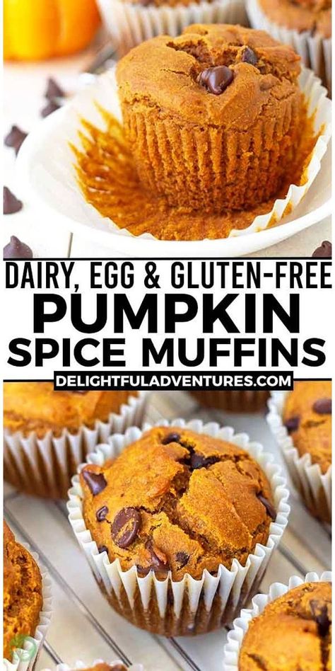 Gluten Free Muffins Easy, Dairy Free Pumpkin Muffins, Vegan Gluten Free Muffins, Gluten Free Chocolate Chip Muffins, Gluten Free Dairy Free Muffins, Vegan Pumpkin Muffins, Dairy Free Muffins, Gluten Free Pumpkin Recipes, Gluten Free Pumpkin Spice