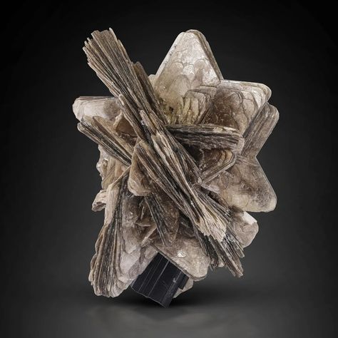 Star 🌟 Muscovite Mica with Schorl *NFS* Skardu District, Gilgit Baltistan Province, Pakistan Muscovite Mica is been a very common and mostly seen as secondary mineral with other minerals species. But this isn't a case here, this particular specimen is an exceptional example and probably the best i have ever seen for such specie in such perfection and aesthetic visuals. Schorl aka Black Tourmaline crystal attached behind the star Mica and making it an adorable and very attractive combination... Aesthetic Visuals, Gems Crystals, Gilgit Baltistan, Black Tourmaline Crystal, Tourmaline Crystal, Black Tourmaline, Stone Rocks, Geology, The Star