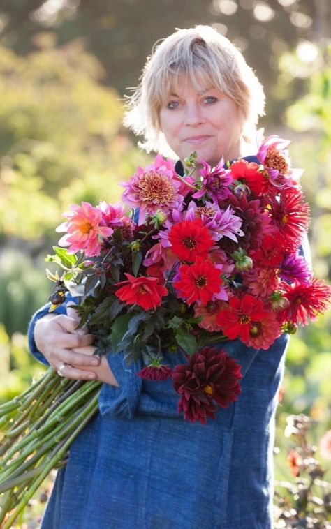 Sarah Raven, Growing Dahlias, Dahlia Flower, Chelsea Flower Show, Single Flower, Garden Soil, Plant Design, Cool Plants, Summer Garden