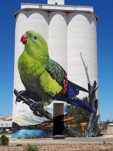 The Australian Silo Art Trail Series: South Australia Silo Art Trail, 2019 Grafitti Street, Street Art News, Wall Street Art, Street Mural, 3d Street Art, Amazing Street Art, Graffiti Murals, Murals Street Art, Building Art