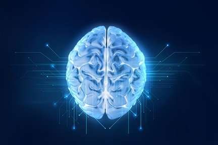 One in five older adults experience brain network weakening following knee replacement surgery Artificial General Intelligence, Brain Stimulation, Dream Meanings, Quantum Computer, Smart Business, Human Brain, Digital Transformation, Create Image, Machine Learning