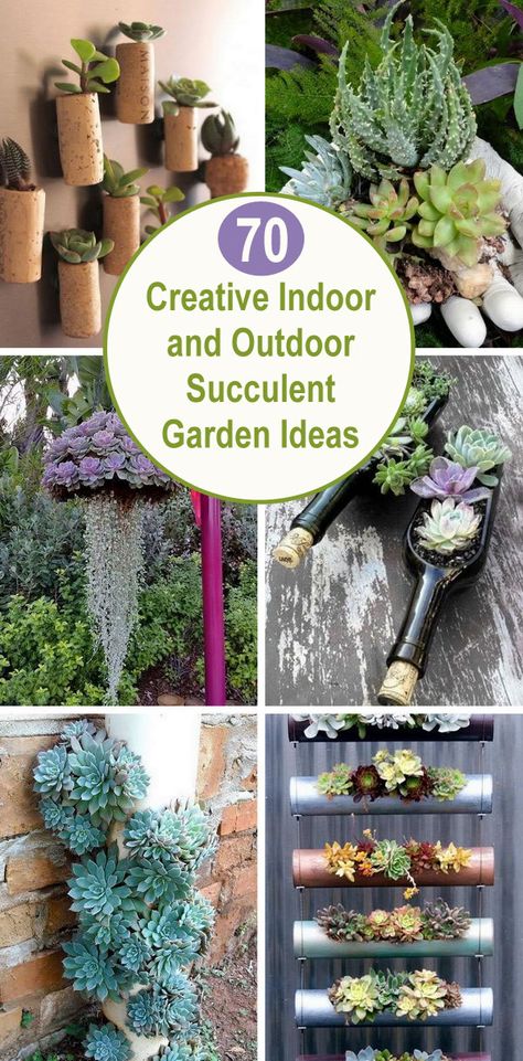 characters. Vertical Succulent Wall, Succulent Hanging Wall, Wall Of Succulents Indoor, Succulent Wall Indoor, Succulent Vase Ideas, Succulent Shop Ideas, Succulent Diy Ideas Crafts, Succulent Container Ideas Outdoors, Diy Succulent Wall Decor