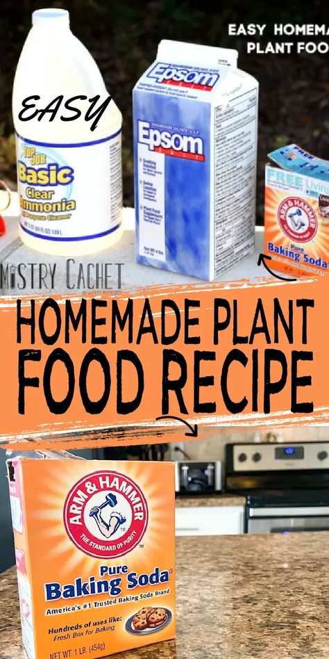 Homemade Miracle Grow For Plants, Diy Miracle Grow Recipe, Miracle Grow Recipe, Diy Miracle Grow, Diy Plant Food, Miracle Grow Diy, Plant Tricks, Plant Food Diy, Home Made Fertilizer