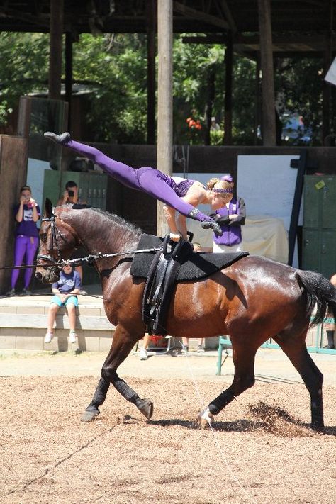 I remember when I could do this... *tear Horse Acrobatics, Horse Gymnastics, Vaulting Horse, Equestrian Vaulting, Vaulting Equestrian, Horse Vaulting, Trick Riding, Gymnastics Dance, Horse Riding Tips