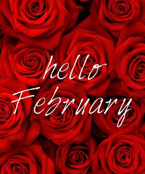 Red Rose February Quote red roses february february quotes hello february Goodbye January, Hello February Quotes, February Images, Welcome February, February Quotes, February Wallpaper, February Month, Hello February, Seasons Months