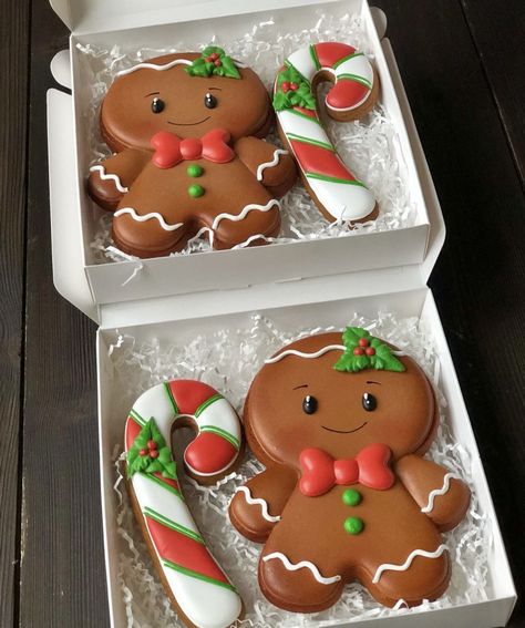 Gingerbread Crust, Christmas Cheesecake Recipes, Christmas Sugar Cookies Decorated, Christmas Cheesecake, Cute Christmas Cookies, Winter Cookie, Xmas Cake, Sugar Cookie Designs, Xmas Cookies