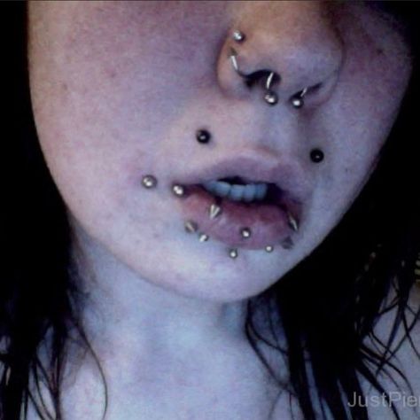 🤩 Dahlia Piercing, Crazy Piercings, Different Types Of Piercings, Body Modification Piercings, Snake Bite Piercing, Cute Nose Piercings, Face Piercings, Cool Piercings, Piercings Unique