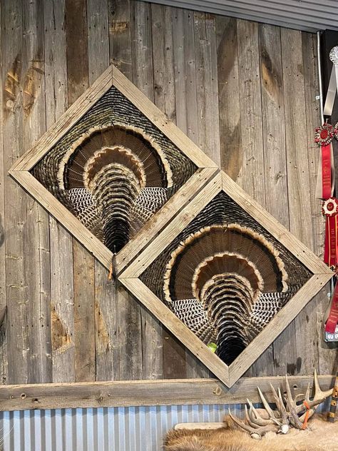 Turkey Tail Feather Mounts, Turkey Feather Mount Ideas, Turkey Fan Decor, Hunting Mounts, Turkey Mount Ideas Display, Turkey Fan Mount Ideas Diy, Taxidermy Shop, Framed Turkey Feathers, Turkey Feather Mount