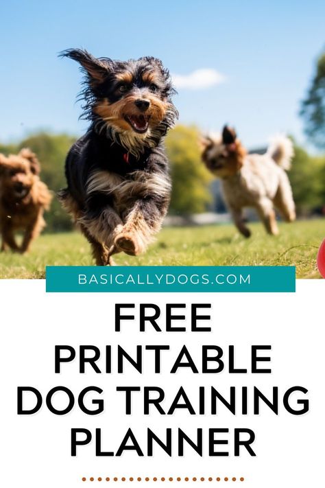 Are you a new pet parent looking for the best printable dog training plan template? We've got you covered with a free printable. Dog Training Plan, Obedience Training For Dogs, Training Plan Template, Training Planner, Puppy Training Schedule, Printable Dog, Basic Dog Training, Tail Wagging, Training Schedule