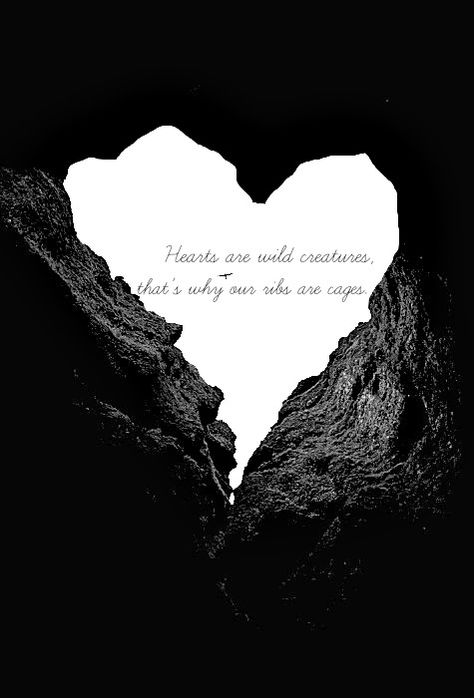 Hearts are wild creatures, that's why our ribs are cages. Hearts Are Wild Creatures Quote, Hearts Are Wild Creatures, Heart In Nature, Racing Thoughts, Were All Mad Here, Love Never Dies, Wild At Heart, Wild Creatures, Life Symbol