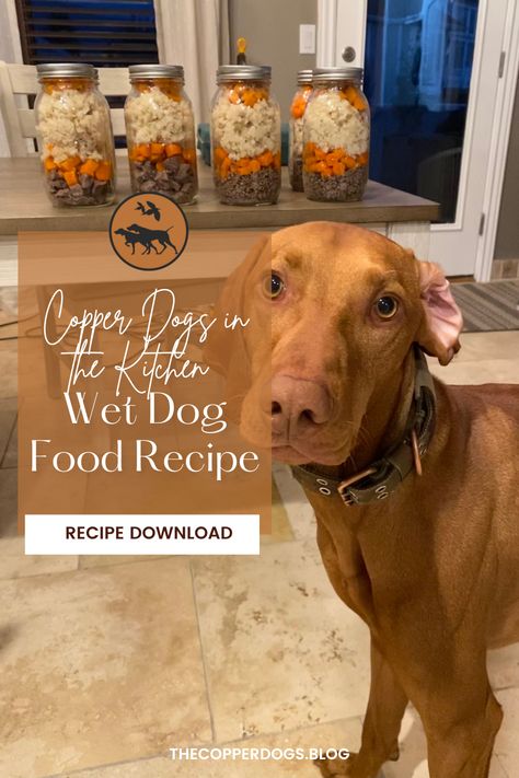 Diy Wet Dog Food, Homemade Wet Dog Food, Dog Kibble Recipe, Dog Food Recipe, Freeze Dried Dog Food, Diy Dog Food, Make Dog Food, Extra Protein, Dog Needs