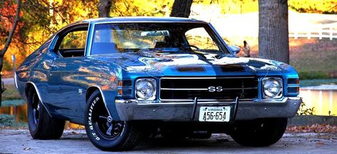 71 Chevelle, Chevy Chevelle Ss, Chevrolet Chevelle Ss, Chevy Muscle Cars, Vintage Muscle Cars, Chevy Chevelle, Chevelle Ss, Sweet Cars, Chevrolet Chevelle