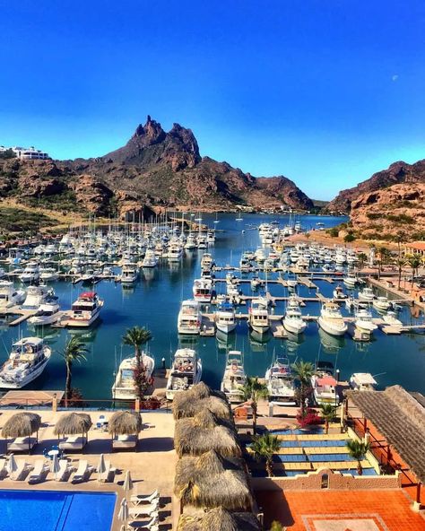 Puerto Peñasco, Fauna Marina, Where To Go, National Geographic, Family Vacation, Summer Vibes, Google Images, Tourism, Collage