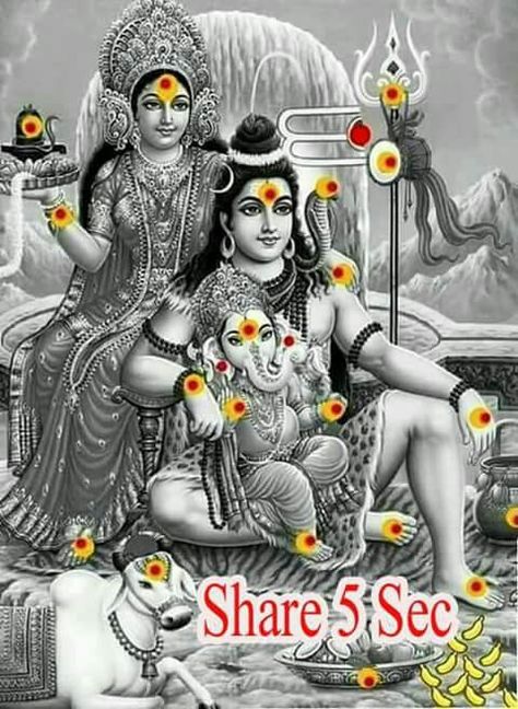 Om Namah Shivaya. Shiva Shambo, Shiva Hd Wallpaper, Lord Shiva Hd, Shiva Parvati, Shiva Parvati Images, Lord Shiva Hd Wallpaper, Lord Ganesha Paintings, Puja Room, Om Namah Shivaya