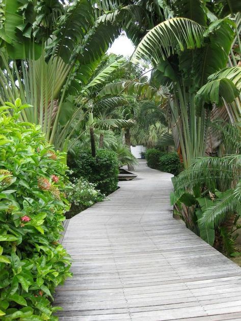 Ile St. Barth-Path to Garden Rooms Tropical Landscape Design, Tropical Garden Design, Tropical Backyard, Garden Walkway, Garden Entrance, Garden Types, Garden Design Ideas, Have Inspiration, Backyard Garden Design