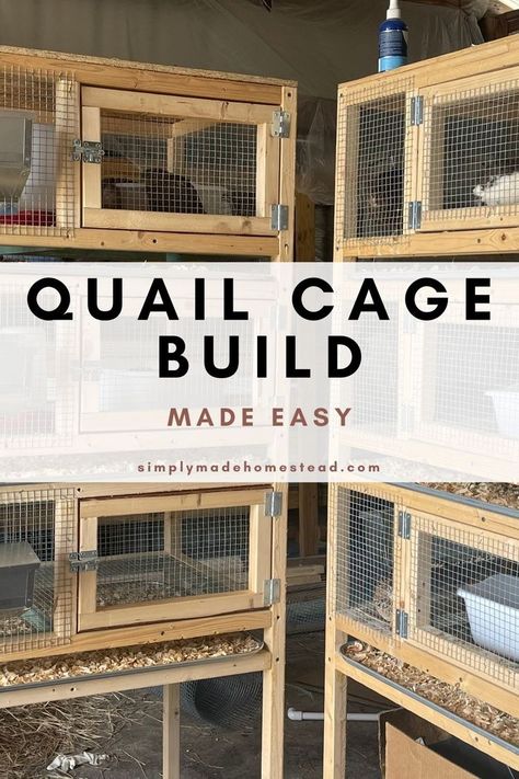 quail cage build made easy, step by step instructions, material list and cut list included Farm House Plans, Quail Pen, Quail House, Quail Cage, Button Quail, Quail Coop, Homesteading Animals, Raising Quail, Meat Rabbits