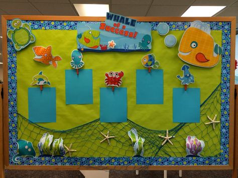 Ocean Theme Kindergarten, Turtle Classroom, Pirate Classroom, Beach Theme Classroom, Nautical Classroom, Turtle Theme, Ocean Classroom, Ocean Theme Preschool, Ocean Theme Classroom