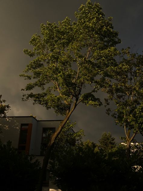 #storm #weather #sunset #sunshine #dark #aesthetic #tree Before Storm Aesthetic, Calm Before The Storm Aesthetic, Storm Weather Aesthetic, Downpour Aesthetic, Summer Storm Aesthetic, Stormy Aesthetic, Storm Aesthetic, Peaceful Aesthetic, Aesthetic Tree