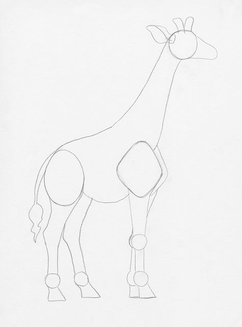 Giraffe Step By Step Drawing, Draw Giraffe Easy, How To Draw A Giraffe Step By Step, How To Draw A Giraffe, Giraffe Drawing Easy Step By Step, A Giraffe Drawing, Drawing Of Giraffe Easy, How To Paint A Giraffe Step By Step, Giraffe Drawings