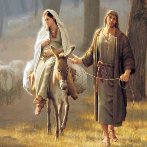 Joseph and Mary fled to Egypt Panna Marie, Religious Pictures, Lds Art, Bible Pictures, Art Sacre, A Donkey, Biblical Art, Belem, Blessed Virgin Mary