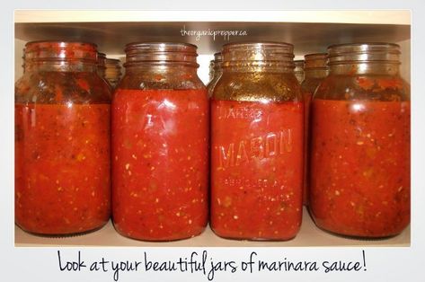 Can Marinara Sauce, Homemade Italian Marinara Sauce, Canning Marinara Sauce, Italian Marinara Sauce, Marina Sauce, Pressure Canning Recipes, Marinara Sauce Recipe, Canned Food Storage, Marinara Sauce Homemade