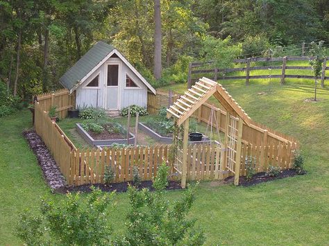 Chicken coop attached so they can enjoy the end of the harvest leftovers & fertilize at the same time. Making Raised Garden Beds, Reban Ayam, Grapes Growing, Homestead Farm, A Small House, Mini Farm, Growing Grapes, Growing Tips, Hobby Farms