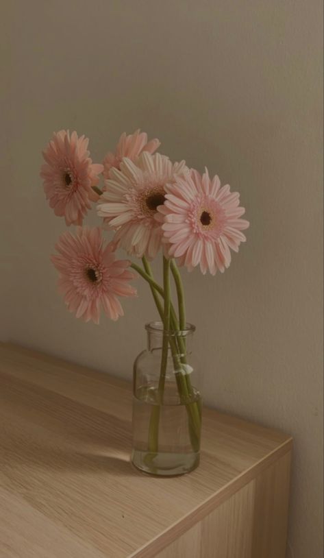 Gerbera Wallpaper, Flor Aesthetic, Gerbera Flower, Pink Gerbera, Vintage Flowers Wallpaper, Art Painting Tools, Light Pink Flowers, Aesthetic Flower, Nothing But Flowers