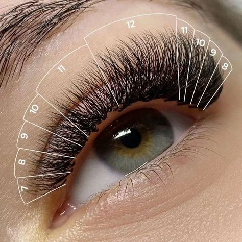 Lash Suite, Lash Looks, Eyelash Extensions Salons, Lash Extension Training, Evening Eye Makeup, Lash Mapping, Lash Extension Supplies, Eyelash Technician, Natural Mascara