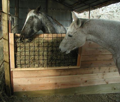 I’ve been wanting to have a hay feeder built for the horses and took advantage of the good weather, as well as hubby’s recovery, to have him whip this up. The grid is a 2′ x 4&#82… Hay Feeder For Horses, Horse Feeder, Horse Hay, Barn Stalls, Horse Shelter, Hay Feeder, Good Weather, Some Thoughts, Dream Barn