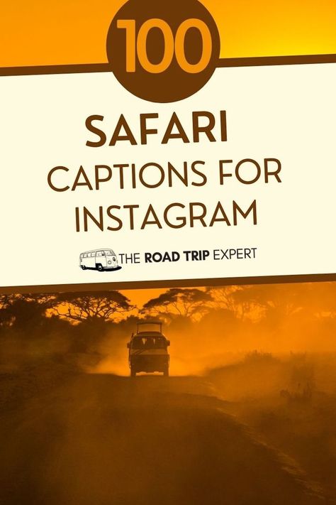 Safari Captions for Instagram Safari Captions For Instagram, Safari Quotes, Quotes For Instagram Posts, Africa Quotes, Adventure Captions, Instagram Post Captions, New Adventure Quotes, Dubai Safari, Animal Captions