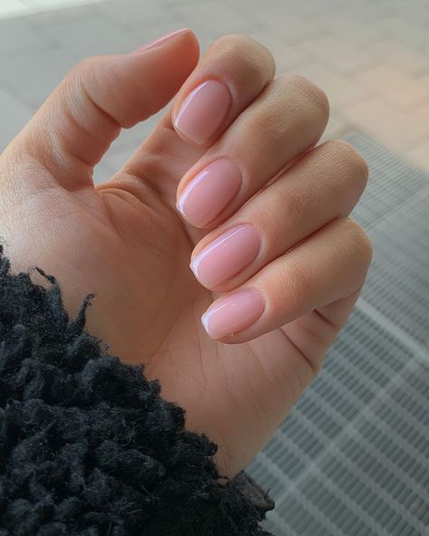 SARA MOATAMID on Instagram: “My new nails 🤍 I used the amazing top coat “High Shine Marshmallow” from @jet_set_beauty_nails 😍” Short Fall Nails, Autumn Nail Designs, Nails Accessories, Nail Dryers, Squoval Nails, New Nails, Shellac Nails, Oval Nails, Neutral Nails