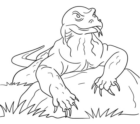 Komodo Dragon on Rock coloring page Komodo Dragon Anatomy, Komodo Dragon Drawing, Rock Coloring, Dragon Anatomy, Anime Places, Dragon Coloring Page, Dragon Sketch, Komodo Dragon, Komodo