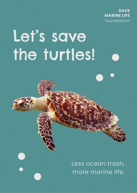 Turtle Poster, Facebook Story, Animal Templates, Animal Protection, Life Poster, Ocean Wallpaper, Cute Turtles, Aesthetic Template, Ocean Animals