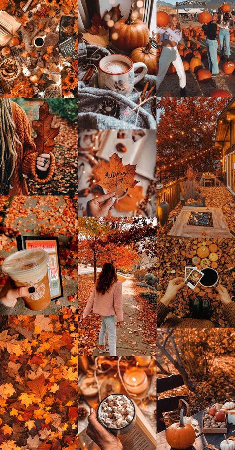 20 Autumn Collage Wallpapers : Cozy Autumn Pumpkin 1 - Fab Mood | Wedding Colours, Wedding Themes, Wedding colour palettes Fall Wallpaper Ideas, Fab Mood, Autumn Collage, Collage Wallpapers, Autumn Phone Wallpaper, Thanksgiving Wallpaper, Cute Fall Wallpaper, Autumn Magic, Fall Background