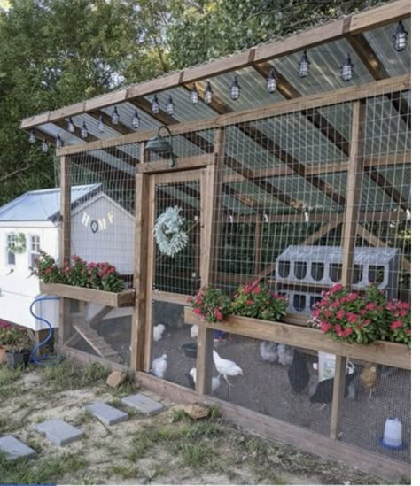 Decorating Chicken Coop, Chicken Coop Wire, Chicken Coop Decorations, Coop Plans Free, Chicken Coop Building Plans, Building Yourself, Chicken Coop Plans Free, Chicken Coop Pallets, Cute Chicken Coops