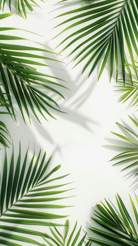 Palmtrees Aesthetic Wallpaper, Garden Background For Editing, Tropical Leaf Background, Leafy Background, Leaves Wallpaper Iphone, Unique Background, Leaf Photography, 4k Wallpaper For Mobile, Landscape Tattoo