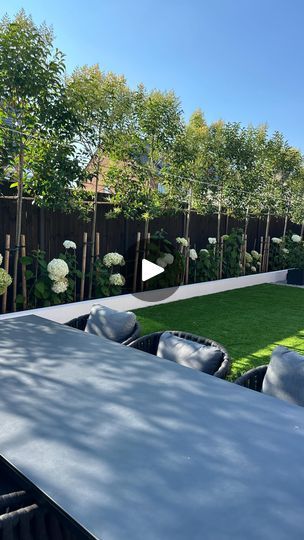 2.2K views · 115 reactions | Why did we choose pleached trees?
We had amazing service from @paramountplants and could not fault a single thing it was the best investment we made for the garden. 
Tree info :
Ligustrum Japonicum Pleached Trees
Size: 2.9m
Shape: Frame 1.2 m High x 1.2 m Wide
Trunk height: 1.7 m
Trunk girth: 2-4 cm
Pot size: 15 Litres
.
.
.
.
#davidwilsonhomes #davidwilson #chelworth  #newbuildhomes #newbuildjourney #cala #taylorwimpey #bellwayhomes #newbuildsofinstagram #decor #myhome #instahome #interior4all #gardenspace #comtemporary #newbuildgardendesign #newbuildmusthaves  #homedressing #ukgardens  #pleachedtrees #newbuild #gardeninspiration #newbuildgardeninspo  #newbuildjourney #newhomeideas #homestyle #garden #gardendesign #newbuildgarden | Stacey | Culpeo · Sights Pleached Trees In Pots, Pleached Fruit Trees, Pleached Lime Trees, Garden Hedges Living Fence, Ligustrum Japonicum, Ficus Nitida Hedge Privacy Fences, Bellway Homes, David Wilson Homes, Privacy Landscaping