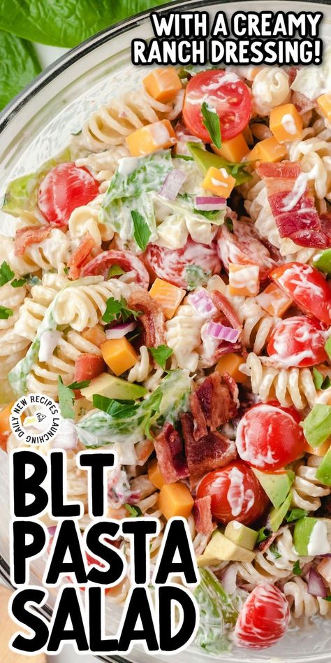 BLT Pasta Salad Easy Blt Pasta Salad, Blt Pasta Salad Recipe, Amazing Pasta, Blt Pasta Salad, Creamy Pasta Salads, Blt Pasta, Blt Salad, Cold Pasta Salad Recipes, Blt Pasta Salads