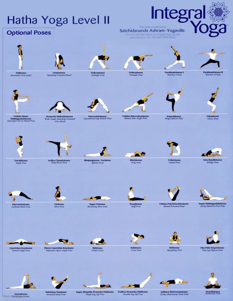 Yoga Hatha Poses Hatha Yoga Poses for Beginners Hatha Yoga Poses and Names Hatha Yoga Poses Sequence Hatha Yoga Poses Chart yoga poses, [keyword], hatha yoga, yoga hatha, yoga pose and name, yoga names and pictures of poses, hatha yoga asanas, postures hatha yoga, hatha poses, yoga asanas chart with name More Picture from my … Yoga Moves For Beginners, Yoga Poses Chart, Hata Yoga, Hard Yoga, Yoga Flow Sequence, Yoga Relaxation, Yoga Ashtanga, Ashtanga Vinyasa Yoga, Latihan Yoga