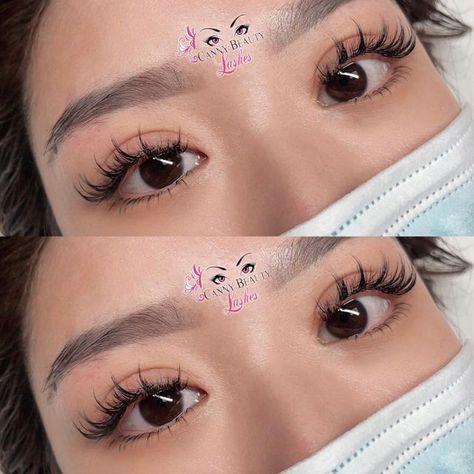 Sunflower Eyelash Extensions, Eyelash Extensions Anime Style, Anime Set Lash Extensions, Canny Beauty Lashes, Kawaii Lash Extensions, Anime Set Lashes, Anime Style Lashes, Manhwa Lash Extensions, Sunflower Lashes