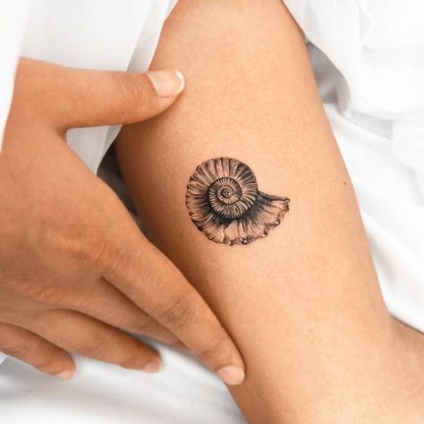 Ammonite tattoo located on the inner arm, Realistic Shell Tattoo, Spiral Seashell Drawing, Small Fossil Tattoo, Ammonite Tattoo Fossil, Nautalis Shell Tattoo, Snail Shell Tattoo, Spiral Shell Tattoo, Circle Tattoo Placement, Nautilus Shell Tattoo