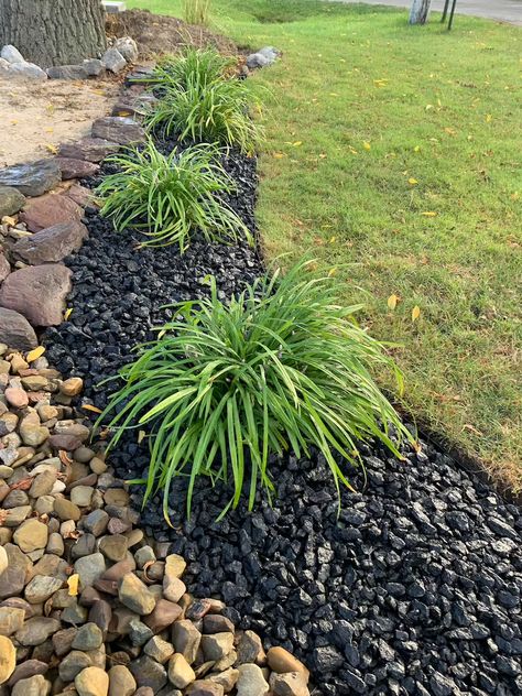 1 Gallon 1 Inch Crushed Black Granite | Etsy Black Rock Landscaping, Landscaping Rock, Mulch Landscaping, Tattoo Plant, River Rock Landscaping, Stone Landscaping, Easy Landscaping, Front Landscaping, Rock Garden Landscaping