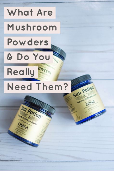 What Are Mushroom Powders & Do You Really Need Them? #whatsavvysaid #wellness #healthylifestyle #mushrooms #mushroompowder #mushroomsupplements #chaga #reishi #cordyceps Lifestyle Board, Mushroom Powder, Wellness Trends, Positive Body Image, Wellness Routine, Wild Mushrooms, Food Pin, Do You Really, Healthy Living Lifestyle